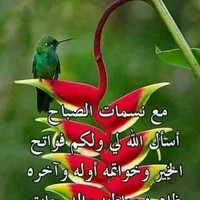 محن تة