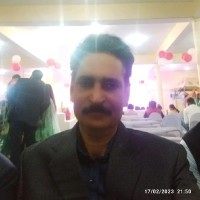 pratap narayan