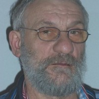 Piet Van De Ligt