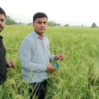 Nand Kishor Gupta