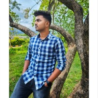 Narendra V