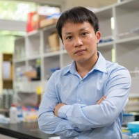 Van Tan Tran