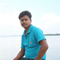 Swadesh Roy