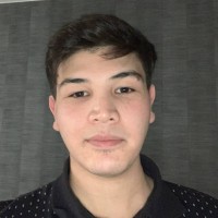 Hadi Sultani