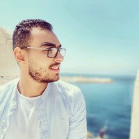 Mahmoud Elaraby