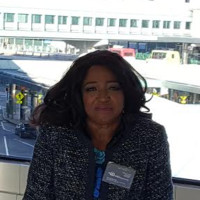 Teri Artis