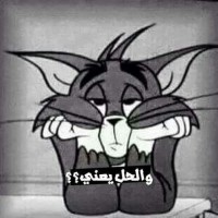 Amany Lbrahim