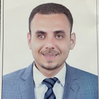 ناصر الطنطاوي