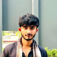 Zenil Mehta