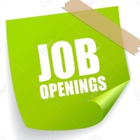 Excel Placement Consultancy