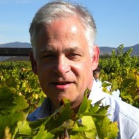Marc Finkelstein