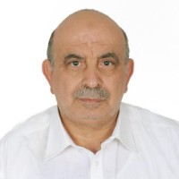 Mohammad Al Halabi