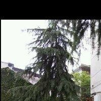 梁杰中