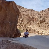 Ahmed El-Sawalhy