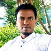 Busha Dinsa