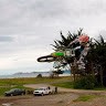 Damian Fogarty