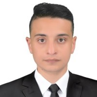 Tarek Abdelrazek Fares