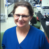 Deb Ackley
