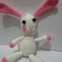 Humanın Hobi dünyası