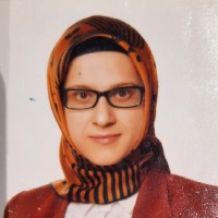 Aynur Bayraktar Sak