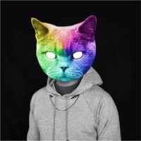 Dj Wldct