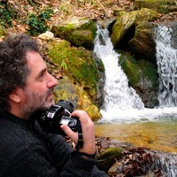 Manolis Tsantakis
