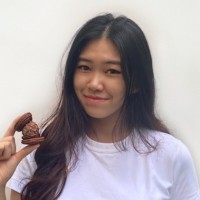 Tan Hui Yi