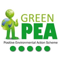 Green Pea