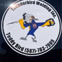 Teddy Bird