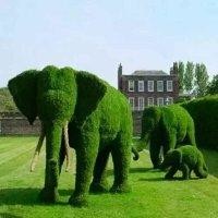 吴继军