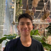 Bennett Teo