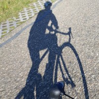 Tom Peeters