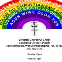 Peter Adeniran, MS,PMP,CEH