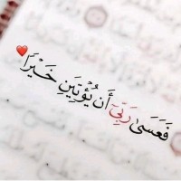 ابو انس