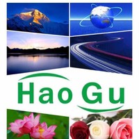 曾豪杰