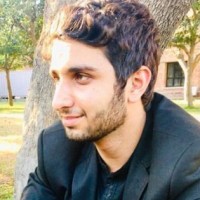 Muhammad Hammad Mustafa Bajwa