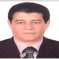 Aly shoukry