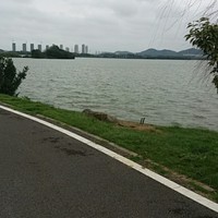 田卫星