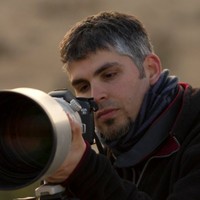 Guy Judah