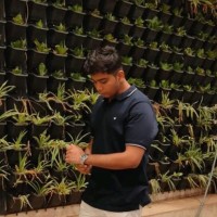 Maaz Ahmed