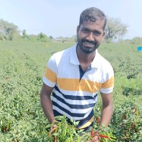 Thoolla Venkatesh