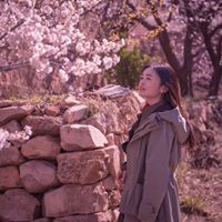 Xiaoqing Wang