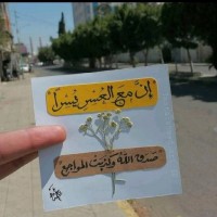 Shaimaa Alaa