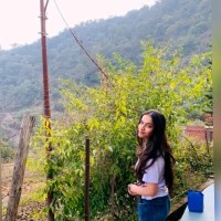 Parul D.