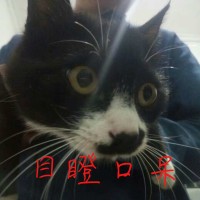 赵玉晗