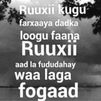 Abbas Hassan Osman