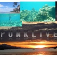 punklive channel