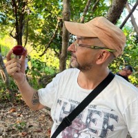 Dmitrii Anokhin