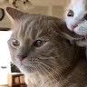 m u z z