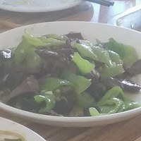朱乐乐
